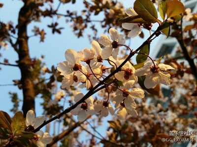 夕陽(yáng)無(wú)限好