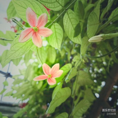 照片沒分類