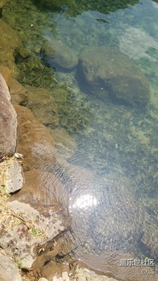 旅行隨拍，以及沒事下個水?。ㄏ滤曨l已更新）