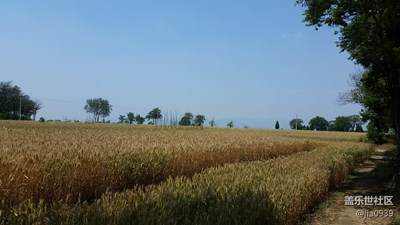 又有一年豐收時