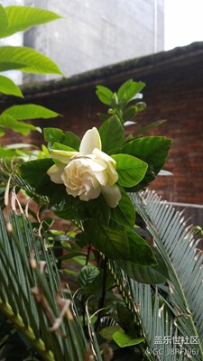 歲月  恬靜