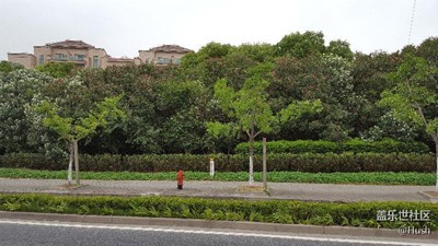 簽到