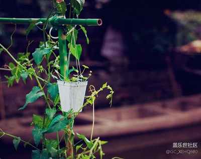 隨便走走