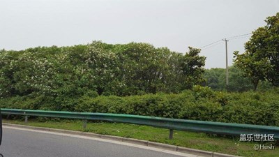 簽到