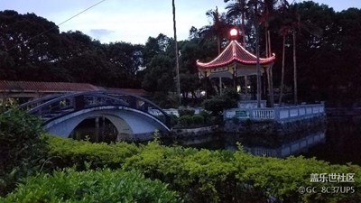 隨拍