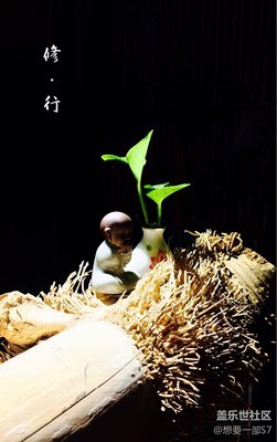 2原創(chuàng)攝影，我只是可憐的三星迷，想要一部S7