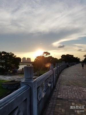 隨意拍拍