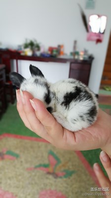 隨吧