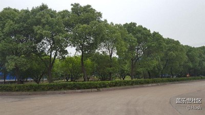 簽到