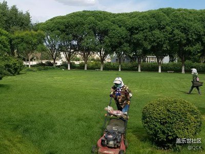 園丁