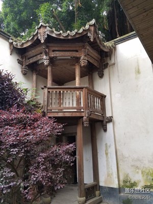 隨拍