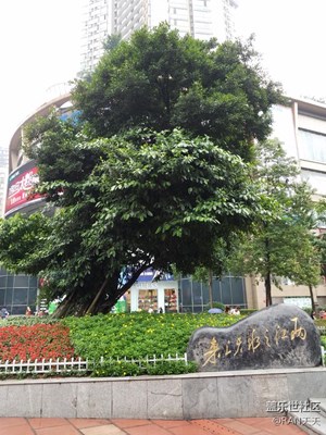 行走在路上，用s7e留下最美的風景。