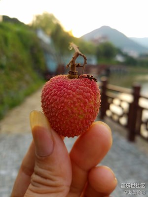 隨拍
