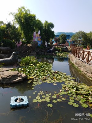 自然美景