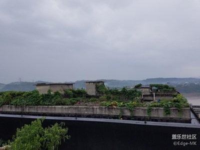 ??????這邊樓頂全是菜園子
