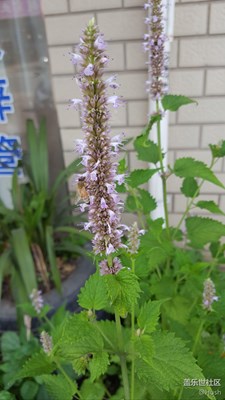 簽到