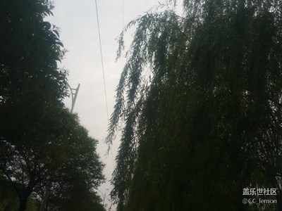 吃晚飯路上
