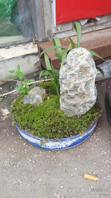 簽到