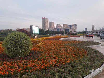 隨拍