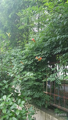 簽到