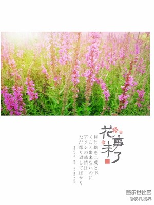 【影凡手機隨拍】