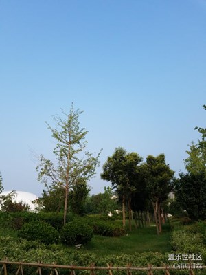 晨練隨拍
