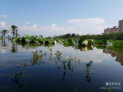 大雨淹城城更美。攜S7遇見水淹得美景