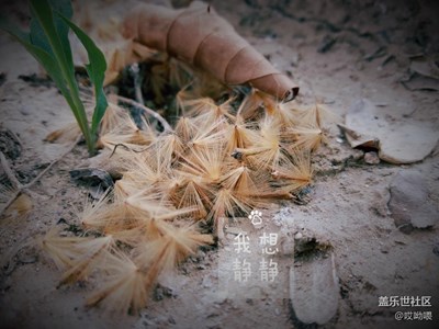 帶著C7嗨起來
