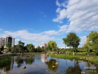 公園一角