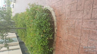 下雨了