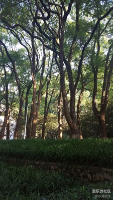 武漢某高校一角