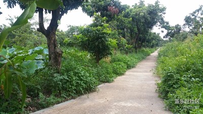 濕地公園