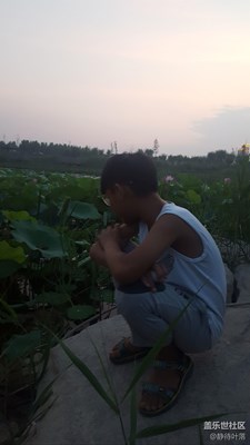 觀察