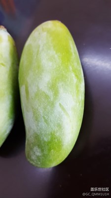 田陽桂7芒果