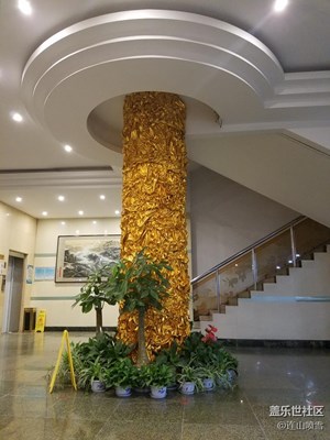 燈光下夜拍