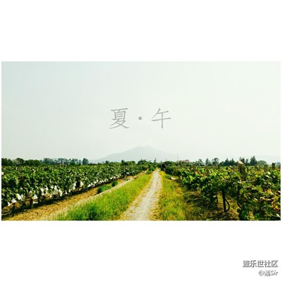 圖配文