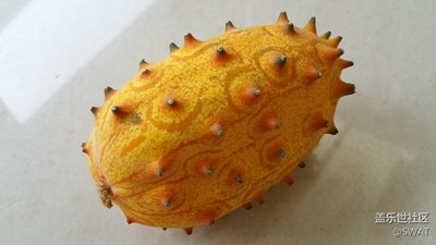 這是什么果？