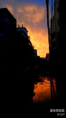 對照