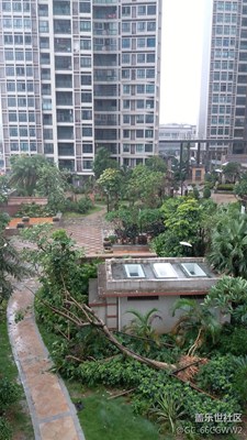 看看有什么不同？
