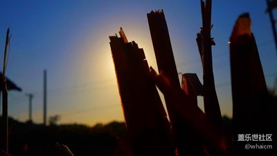 老機三星S4美照，不得不說當(dāng)時S4的拍照性能多好！