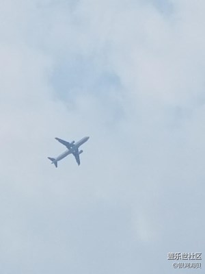 灰機