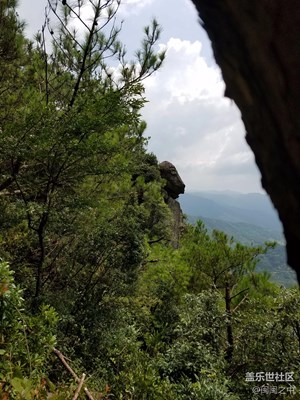 隨拍