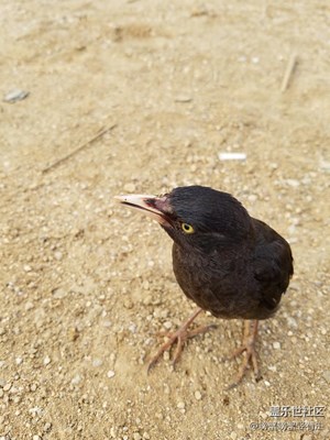 再補2張