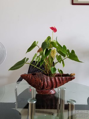 隨拍
