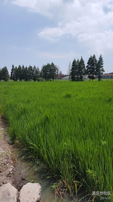 簽