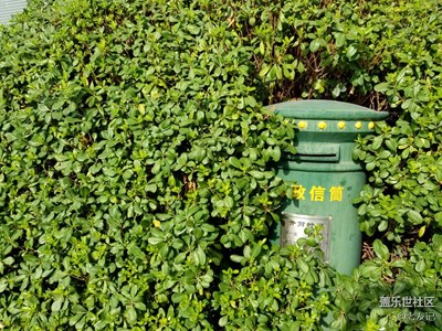 830隨拍