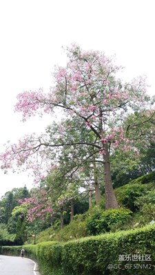 28日白云山上