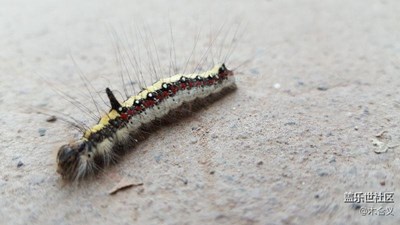 晨練途中