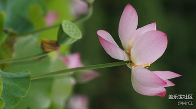 隨拍