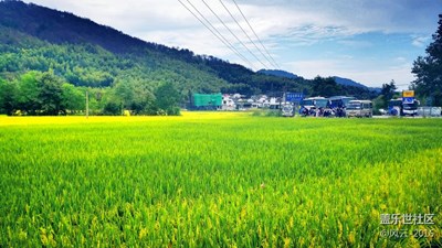 風(fēng)光小景